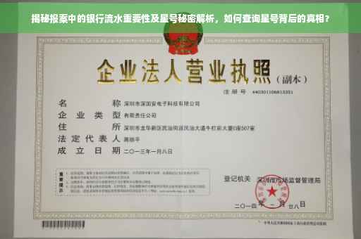 揭秘报案中的银行流水重要性及星号秘密解析，如何查询星号背后的真相？