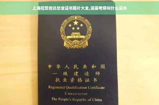 上海视觉传达毕业证书图片大全,漫画考级叫什么证书