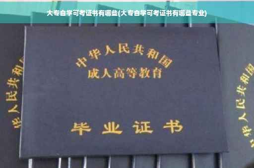 大专自学可考证书有哪些(大专自学可考证书有哪些专业)