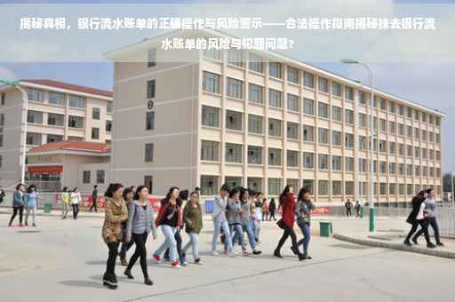 揭秘真相，银行流水账单的正确操作与风险警示——合法操作指南揭秘抹去银行流水账单的风险与犯罪问题?
