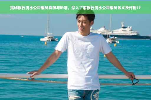 揭秘银行流水公司编码真相与影响，深入了解银行流水公司编码含义及作用??