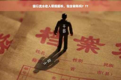 银行流水收入明细解析，包含转账吗？??