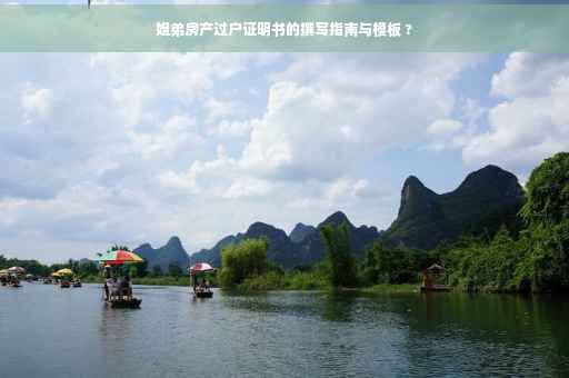 姐弟房产过户证明书的撰写指南与模板 ?