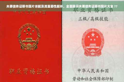 夫妻债务证明书图片详解及其重要性解析，全面展示夫妻债务证明书图片大全 ??