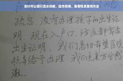 会计对公银行流水详解，操作指南、重要性及查询方法