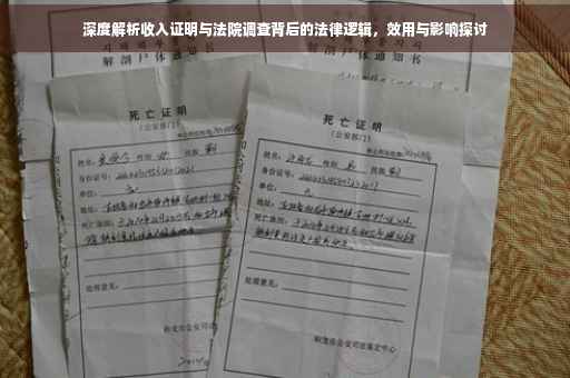 深度解析收入证明与法院调查背后的法律逻辑，效用与影响探讨