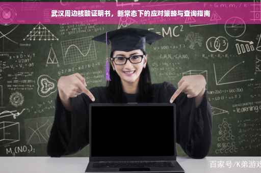 武汉周边核酸证明书，新常态下的应对策略与查询指南