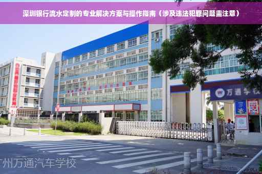 深圳银行流水定制的专业解决方案与操作指南（涉及违法犯罪问题需注意）