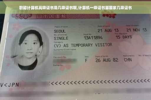 职称计算机高级证书是几级证书啊,计算机一级证书算国家几级证书