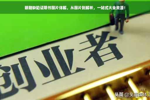 眼睛缺陷证明书图片详解，从图片到解析，一站式大全资源！