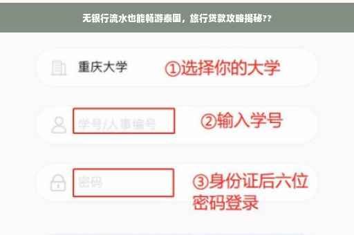 无银行流水也能畅游泰国，旅行贷款攻略揭秘??