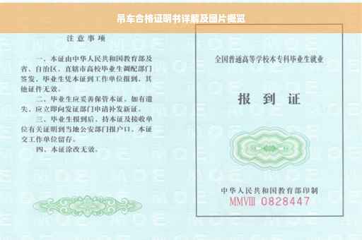 吊车合格证明书详解及图片概览