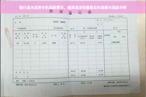 银行流水找黄牛的风险警示，揭露违法犯罪背后的真相与风险分析