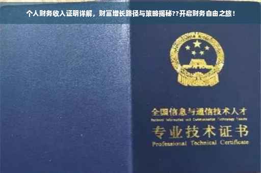 个人财务收入证明详解，财富增长路径与策略揭秘??开启财务自由之旅！