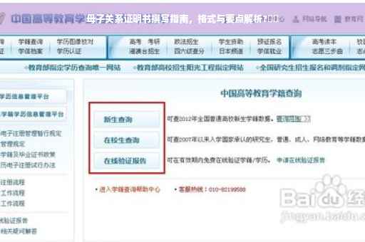 母子关系证明书撰写指南，格式与要点解析?⚡️