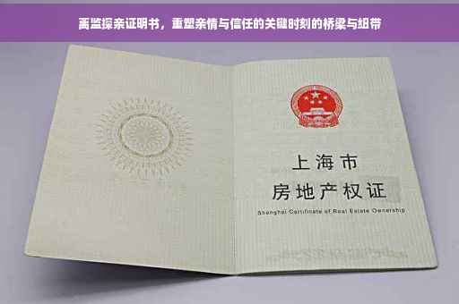 离监探亲证明书，重塑亲情与信任的关键时刻的桥梁与纽带