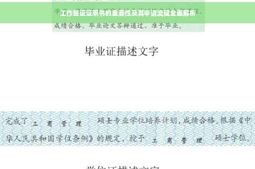 工作签证证明书的重要性及其申请流程全面解析