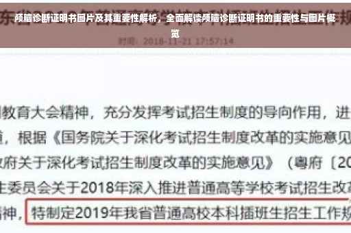 颅脑诊断证明书图片及其重要性解析，全面解读颅脑诊断证明书的重要性与图片概览