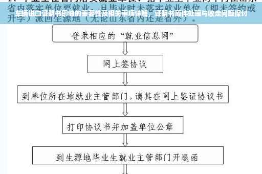 车辆进口证明书印油的重要性及相关事项详解，证明书原件处理与收走问题探讨