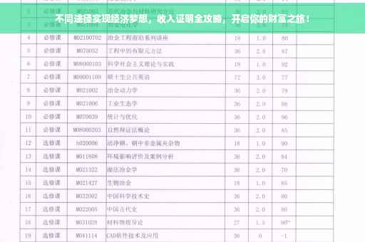 不同途径实现经济梦想，收入证明全攻略，开启你的财富之旅！