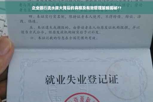 企业银行流水庞大背后的真相及有效管理策略揭秘??