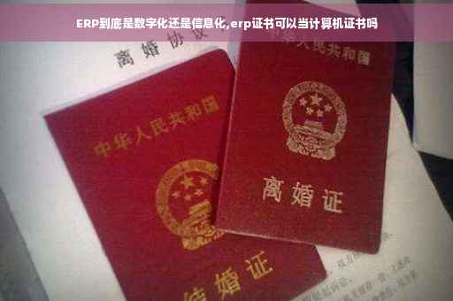 ERP到底是数字化还是信息化,erp证书可以当计算机证书吗