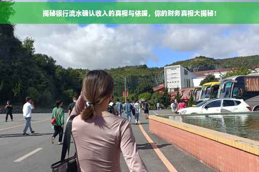 揭秘银行流水确认收入的真相与依据，你的财务真相大揭秘！