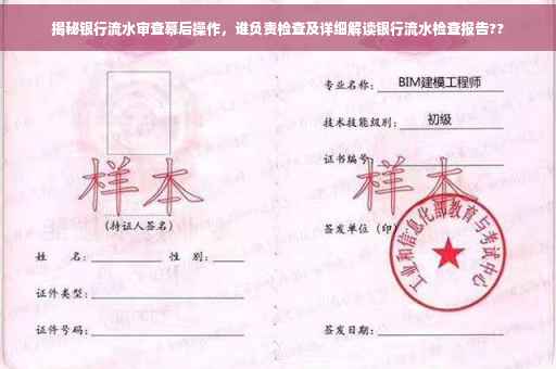 揭秘银行流水审查幕后操作，谁负责检查及详细解读银行流水检查报告??