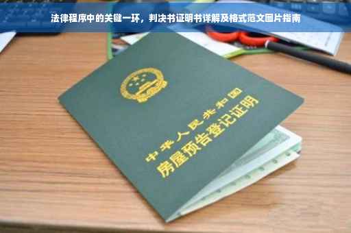 法律程序中的关键一环，判决书证明书详解及格式范文图片指南