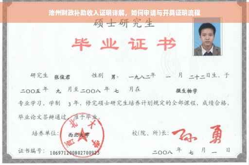 池州财政补助收入证明详解，如何申请与开具证明流程