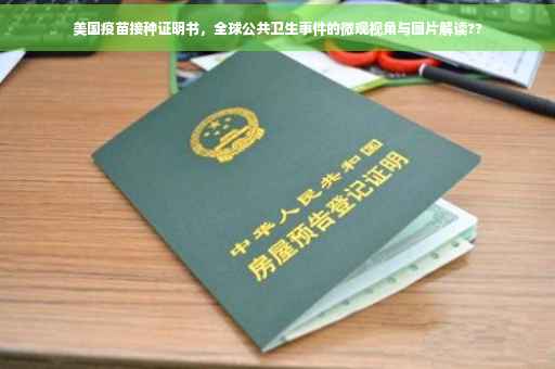 美国疫苗接种证明书，全球公共卫生事件的微观视角与图片解读??