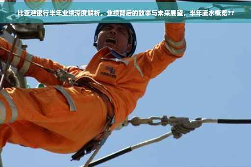 比亚迪银行半年业绩深度解析，业绩背后的故事与未来展望，半年流水概览??