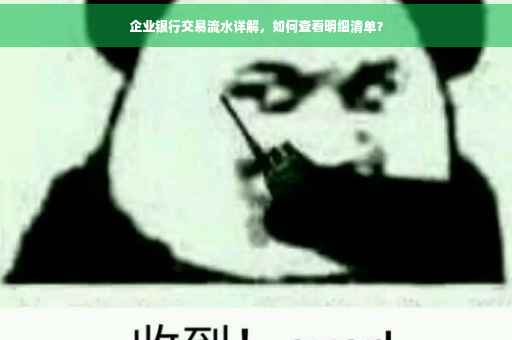 企业银行交易流水详解，如何查看明细清单？