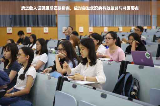 房贷收入证明延期还款指南，应对突发状况的有效策略与书写要点