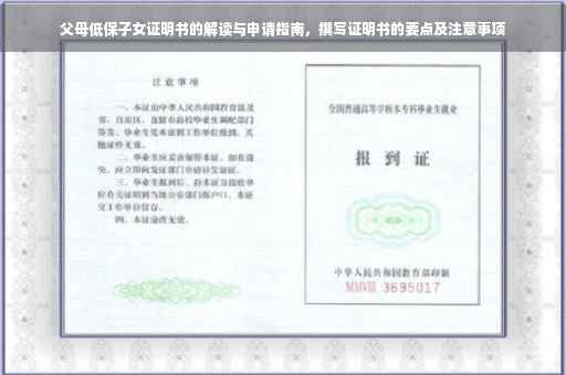 父母低保子女证明书的解读与申请指南，撰写证明书的要点及注意事项
