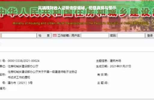 高端理财收入证明造假揭秘，犯罪真相与警示