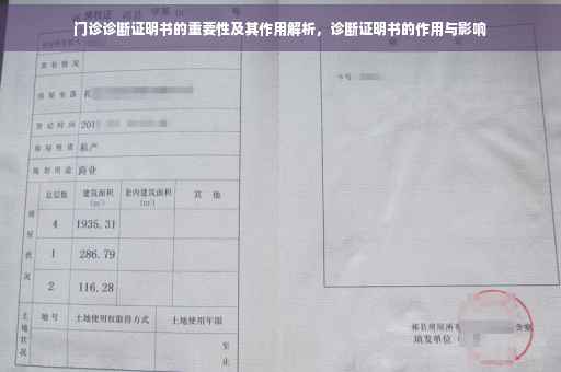门诊诊断证明书的重要性及其作用解析，诊断证明书的作用与影响