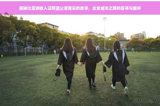 揭秘比亚迪收入证明盖公章背后的故事，企业成功之路的探寻与解析