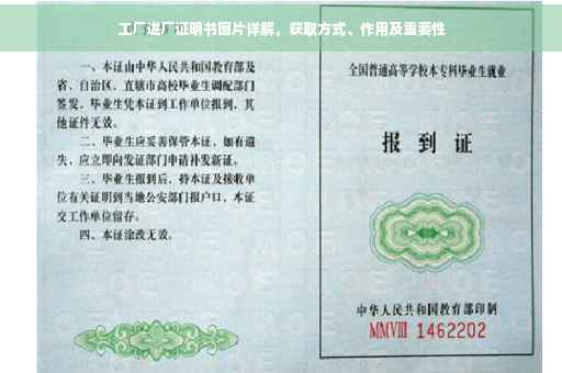 工厂进厂证明书图片详解，获取方式、作用及重要性