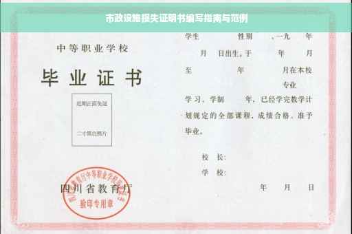 市政设施损失证明书编写指南与范例