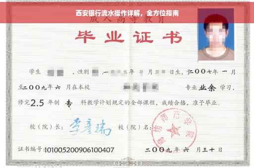 西安银行流水操作详解，全方位指南