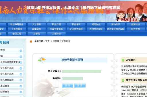 健康证明书撰写指南，无法乘坐飞机的医学证明格式详解