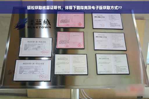 轻松获取核算证明书，详细下载指南及电子版获取方式??
