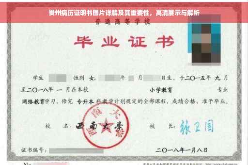 贵州病历证明书图片详解及其重要性，高清展示与解析