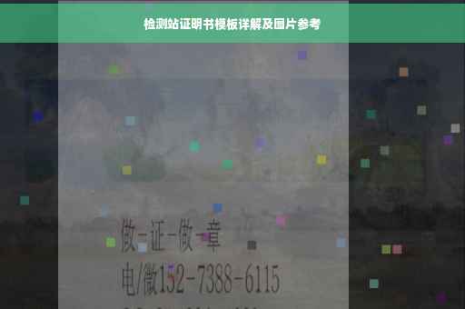 检测站证明书模板详解及图片参考