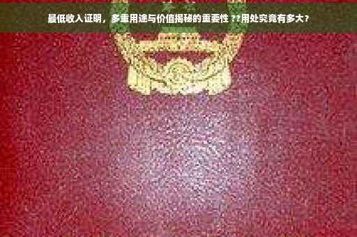 最低收入证明，多重用途与价值揭秘的重要性 ??用处究竟有多大？