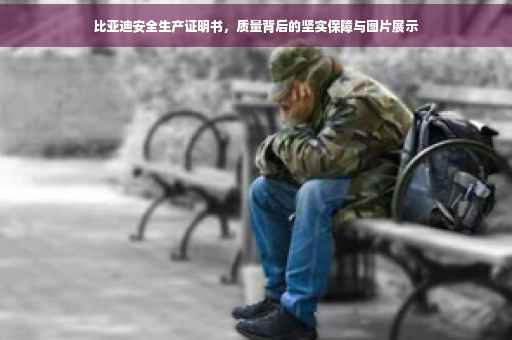 比亚迪安全生产证明书，质量背后的坚实保障与图片展示