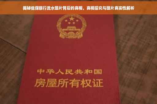 揭秘低保银行流水图片背后的真相，真相探究与图片真实性解析