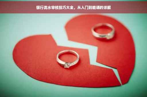 银行流水审核技巧大全，从入门到精通的详解