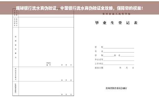 揭秘银行流水真伪验证，中国银行流水真伪验证全攻略，保障您的权益！